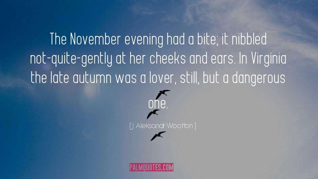 J. Aleksandr Wootton Quotes: The November evening had a