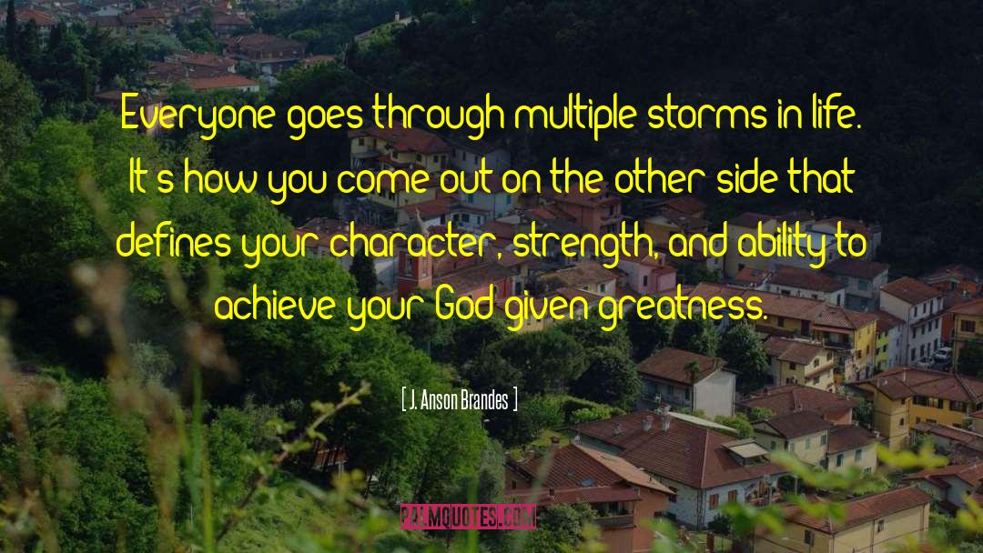 J. Anson Brandes Quotes: Everyone goes through multiple storms