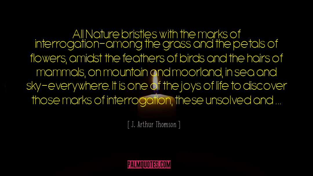 J. Arthur Thomson Quotes: All Nature bristles with the