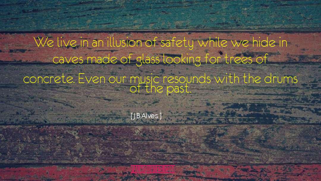 J.B.Alves Quotes: We live in an illusion