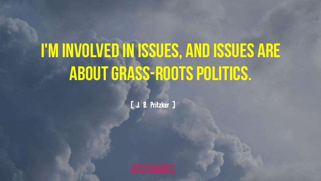 J. B. Pritzker Quotes: I'm involved in issues, and