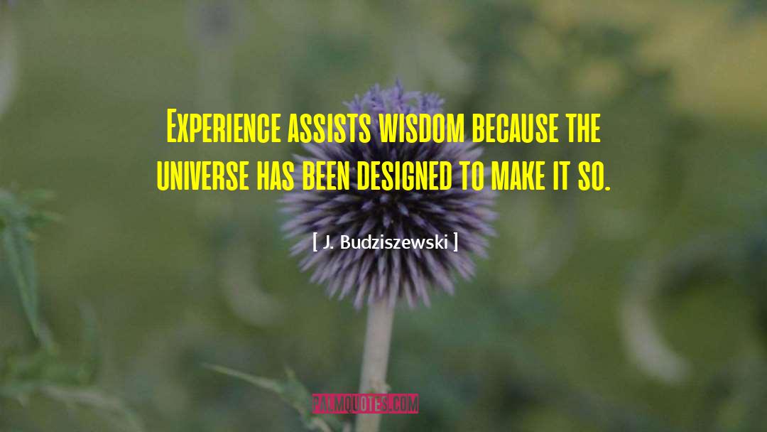 J. Budziszewski Quotes: Experience assists wisdom because the