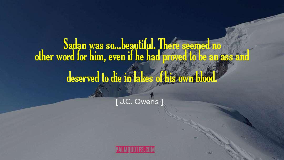 J.C. Owens Quotes: Sadan was so...beautiful. There seemed
