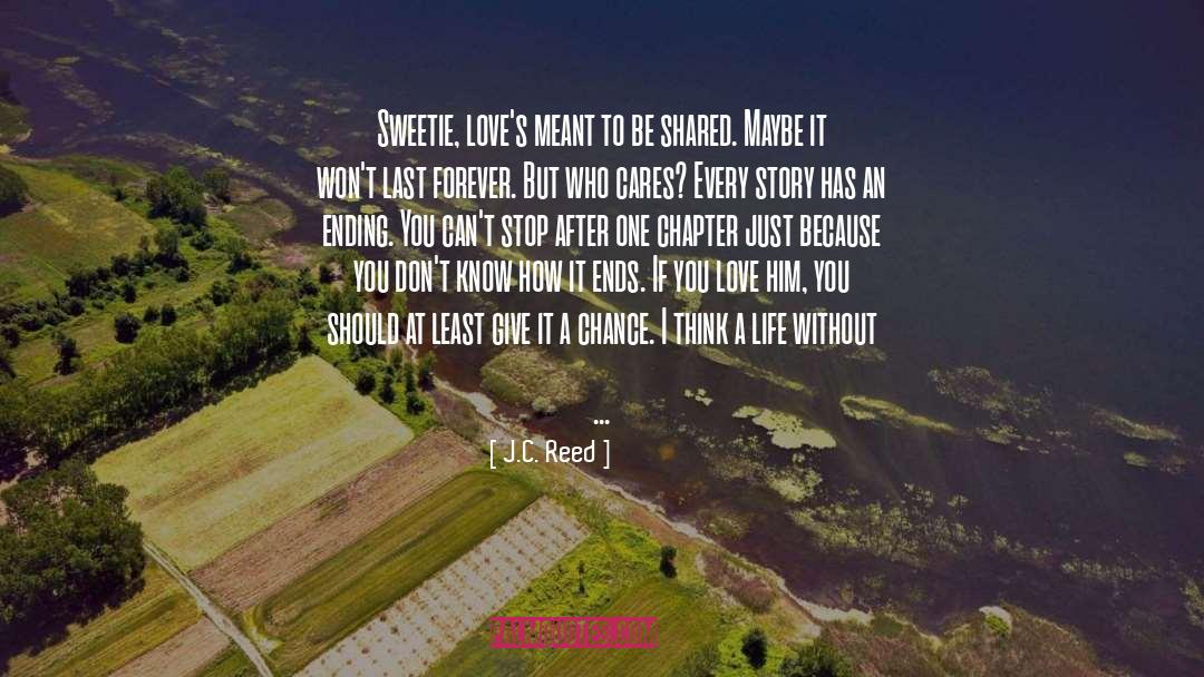 J.C. Reed Quotes: Sweetie, love's meant to be