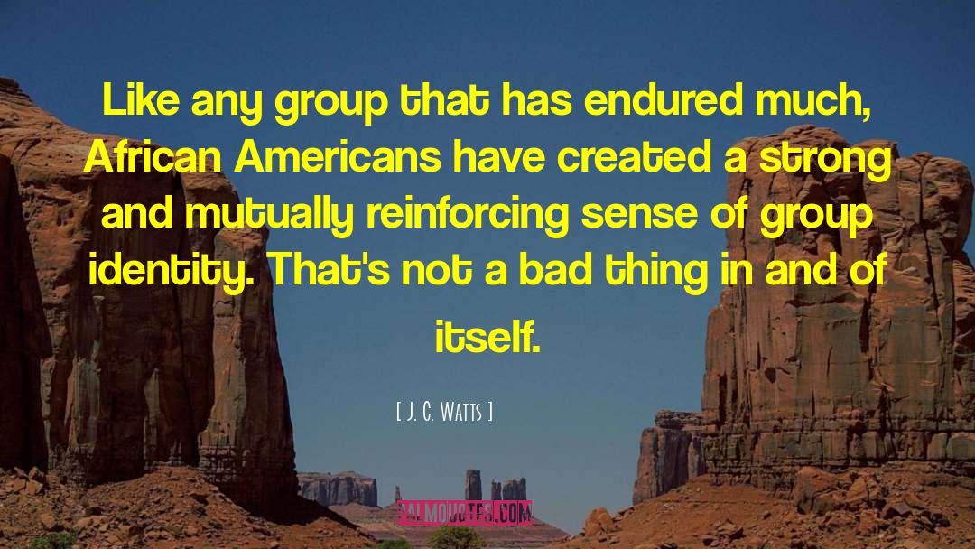 J. C. Watts Quotes: Like any group that has