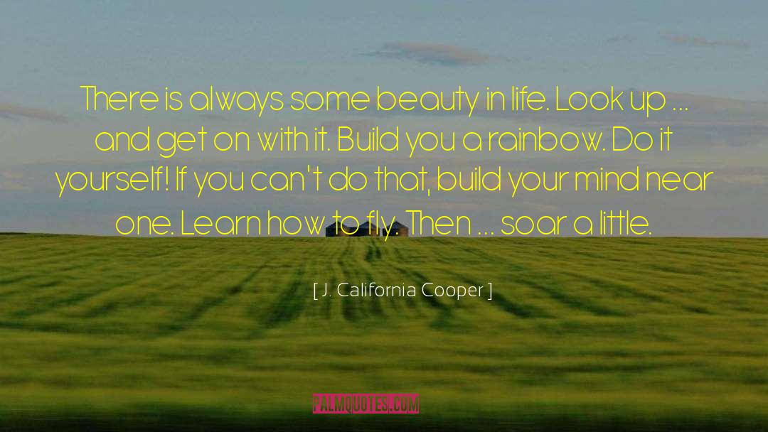 J. California Cooper Quotes: There is always some beauty