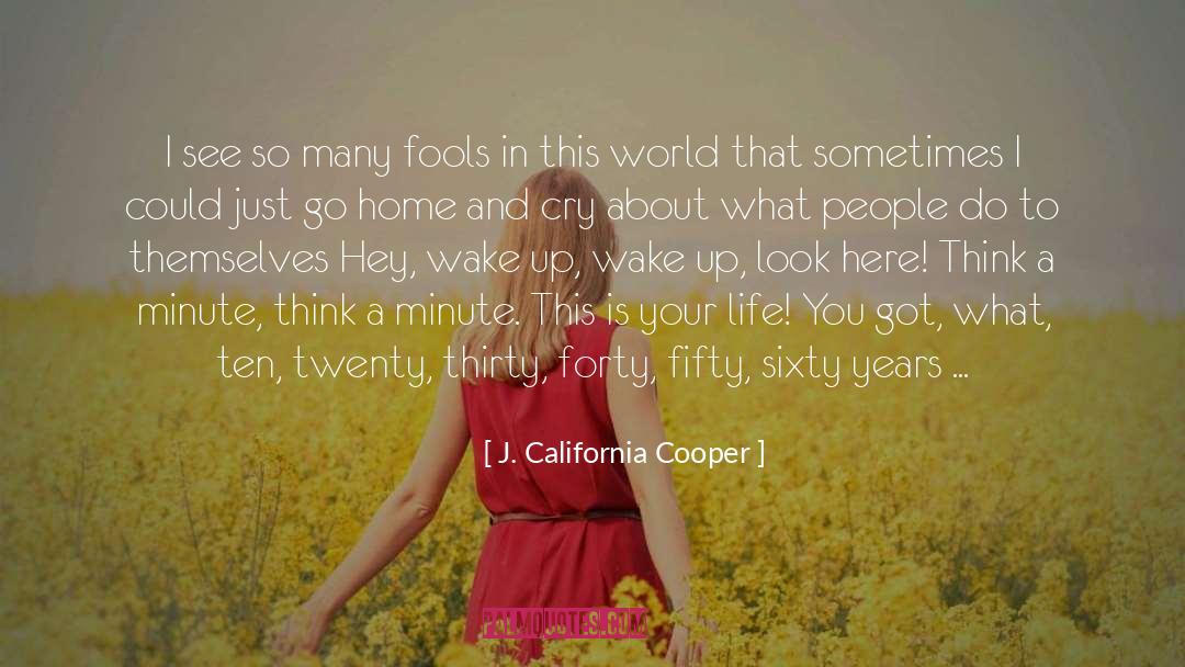 J. California Cooper Quotes: I see so many fools