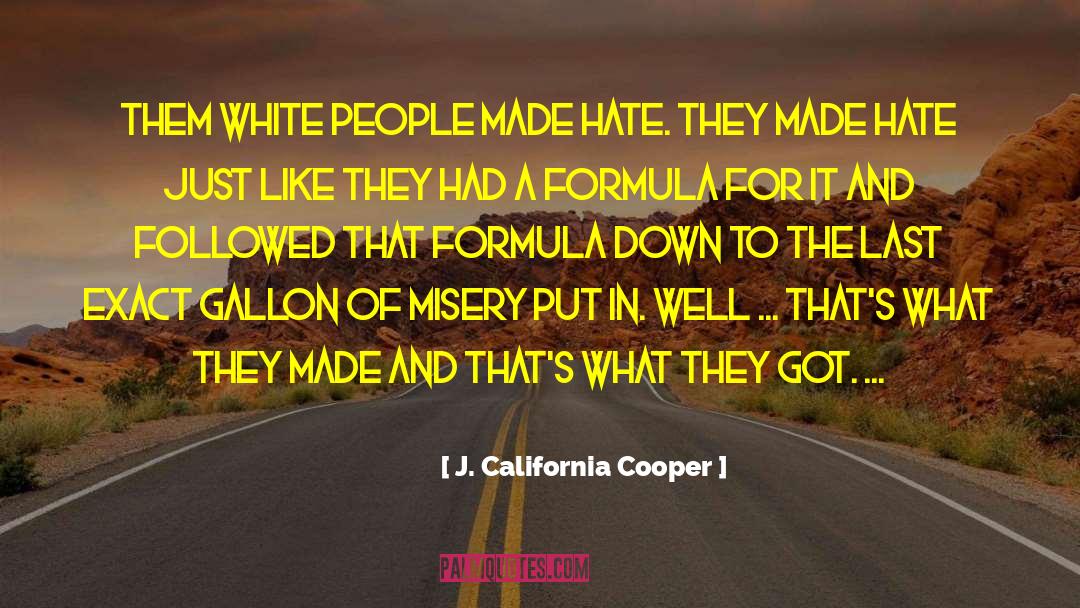 J. California Cooper Quotes: Them white people made hate.