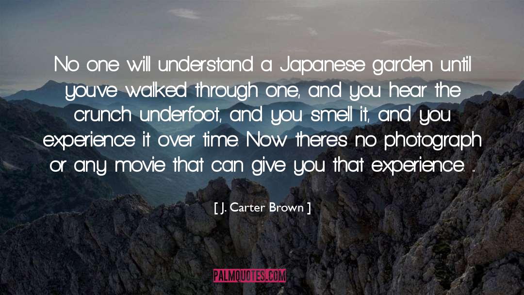 J. Carter Brown Quotes: No one will understand a