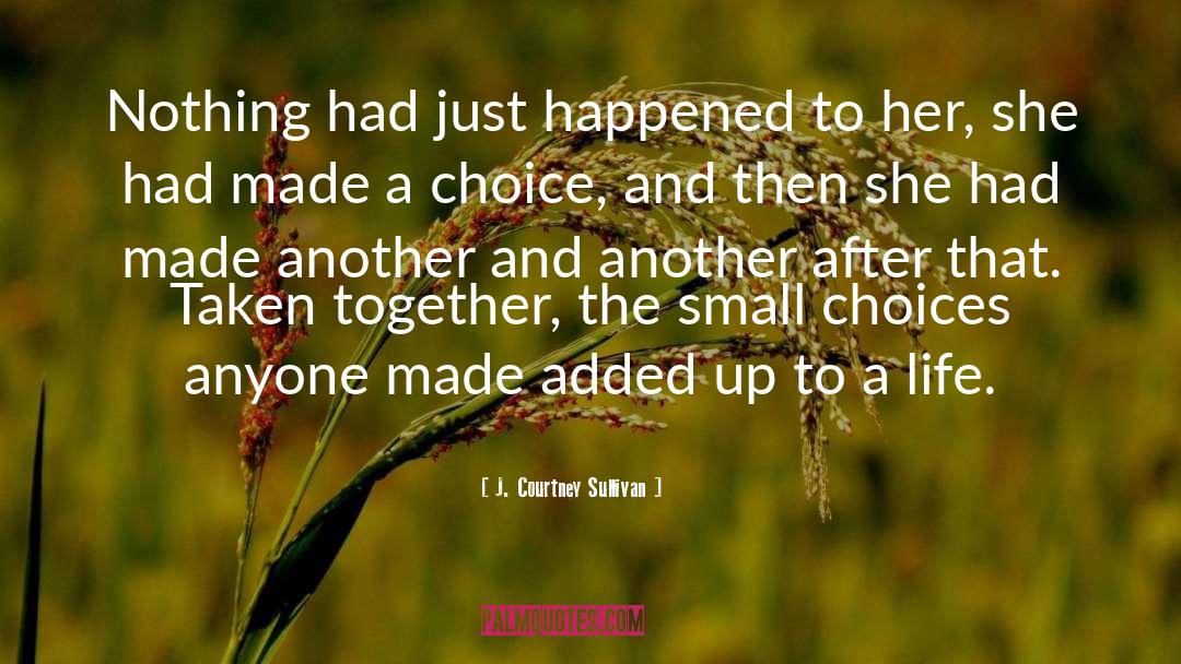 J. Courtney Sullivan Quotes: Nothing had just happened to