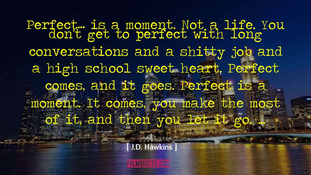 J.D. Hawkins Quotes: Perfect… is a moment. Not