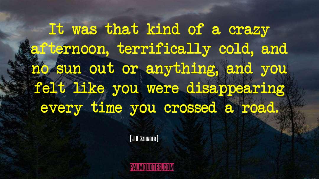 J.D. Salinger Quotes: It was that kind of