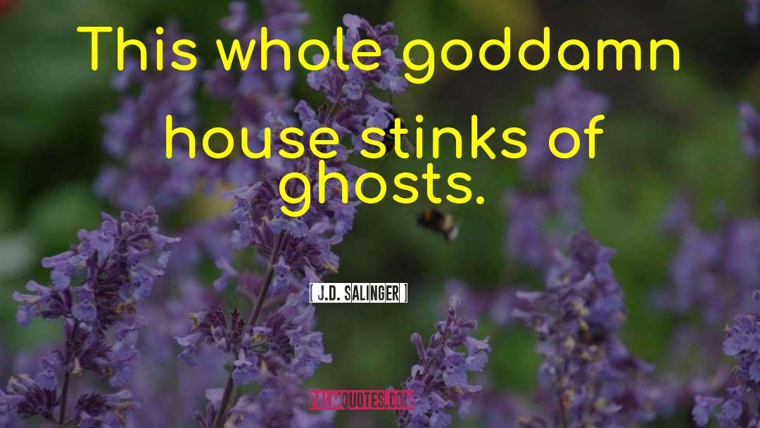 J.D. Salinger Quotes: This whole goddamn house stinks