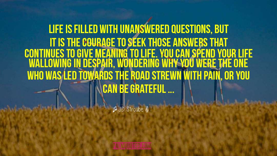 J.D. Stroube Quotes: Life is filled with unanswered
