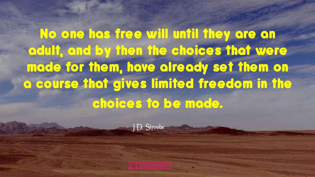 J.D. Stroube Quotes: No one has free will