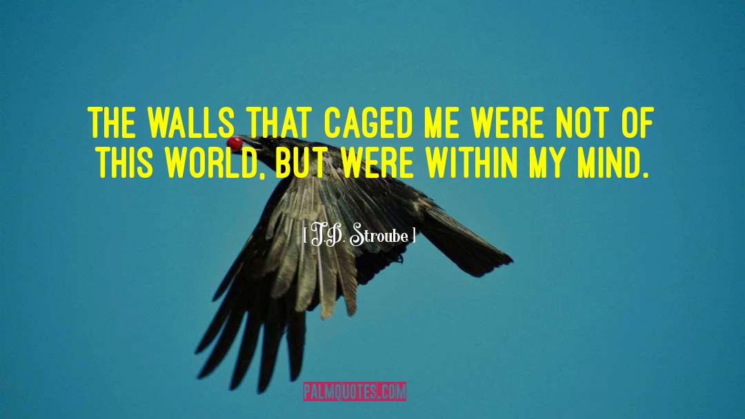 J.D. Stroube Quotes: The walls that caged me