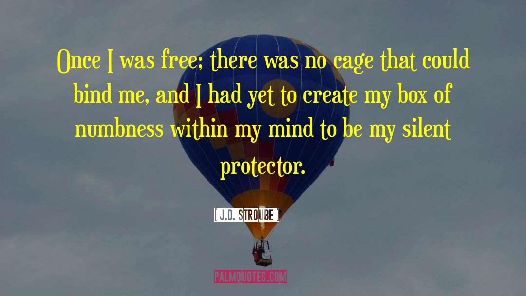 J.D. Stroube Quotes: Once I was free; there