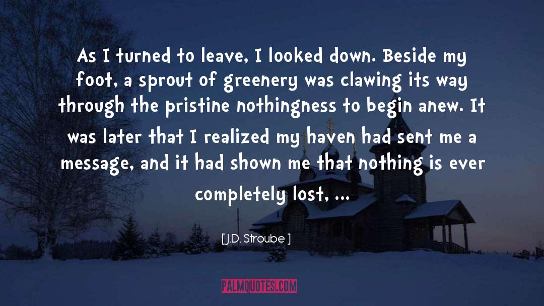 J.D. Stroube Quotes: As I turned to leave,