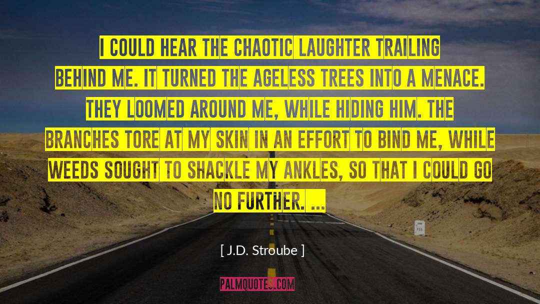 J.D. Stroube Quotes: I could hear the chaotic