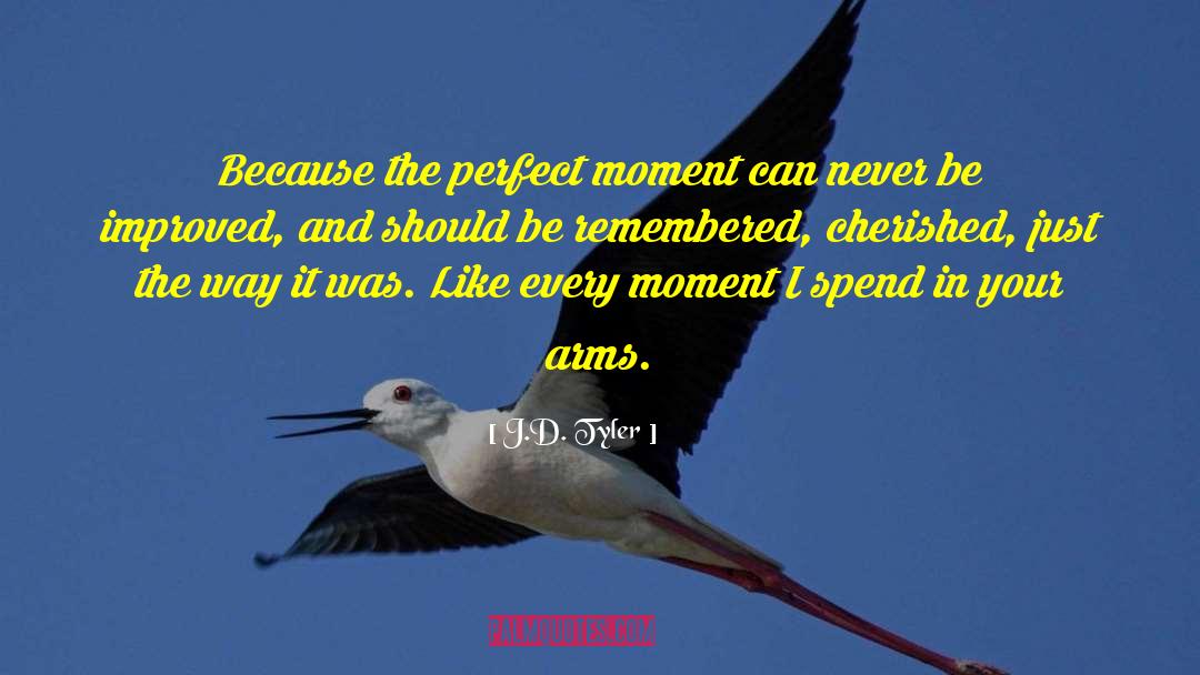 J.D. Tyler Quotes: Because the perfect moment can