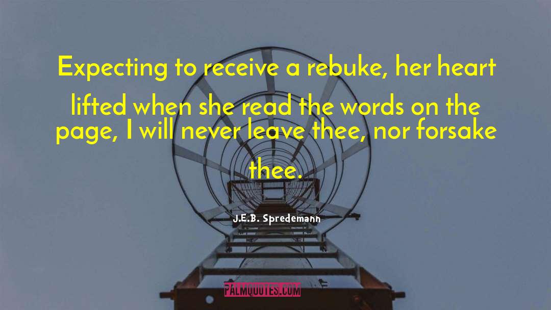 J.E.B. Spredemann Quotes: Expecting to receive a rebuke,