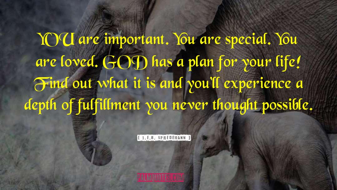 J.E.B. Spredemann Quotes: YOU are important. You are