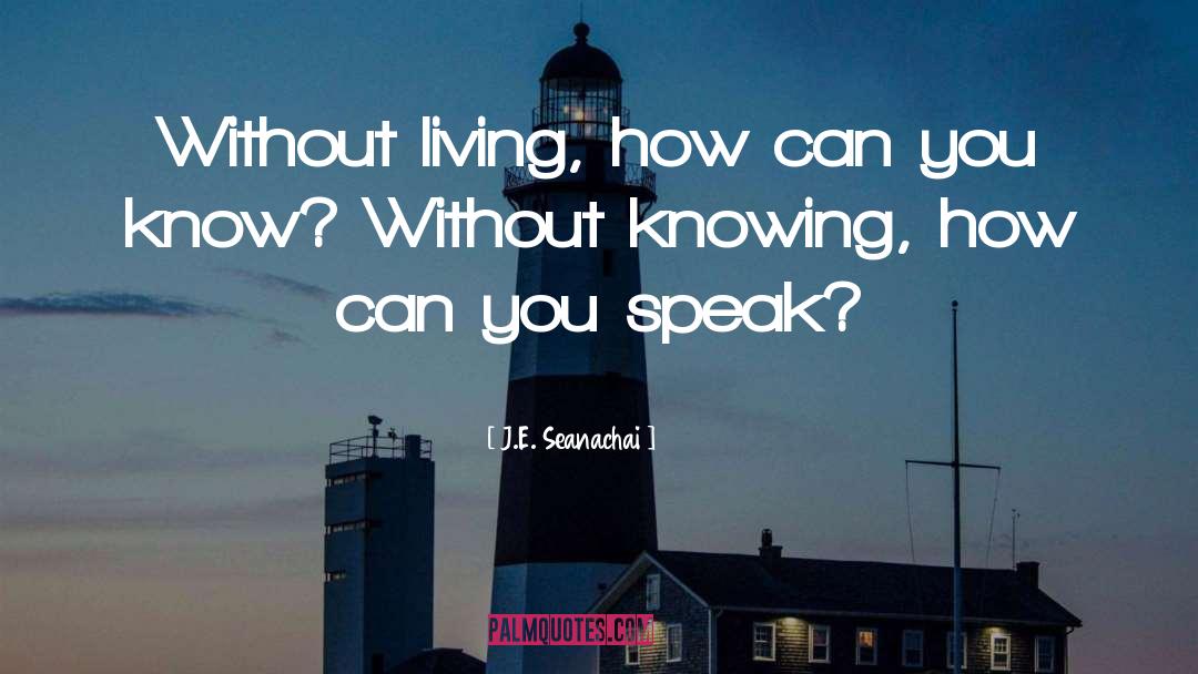 J.E. Seanachai Quotes: Without living, how can you