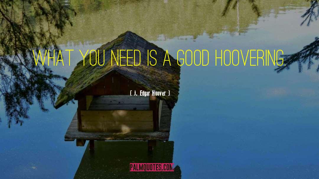 J. Edgar Hoover Quotes: What you need is a