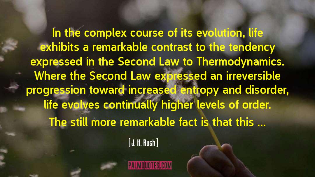 J. H. Rush Quotes: In the complex course of