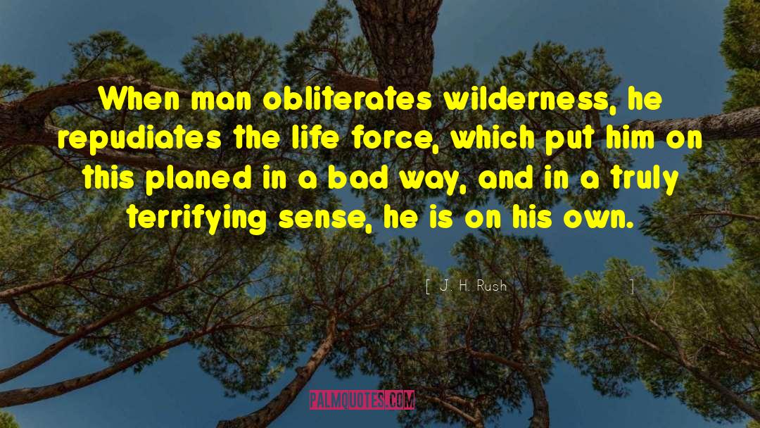 J. H. Rush Quotes: When man obliterates wilderness, he