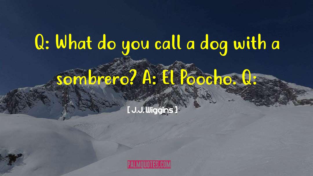 J.J. Wiggins Quotes: Q: What do you call