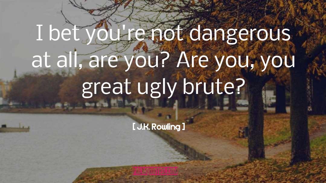 J.K. Rowling Quotes: I bet you're not dangerous