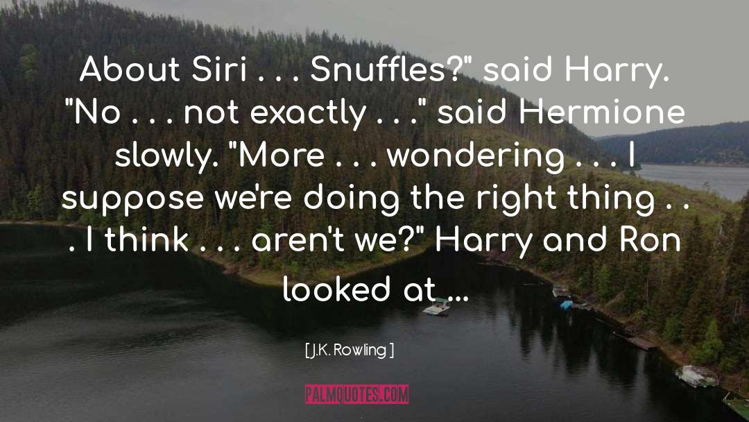 J.K. Rowling Quotes: About Siri . . .