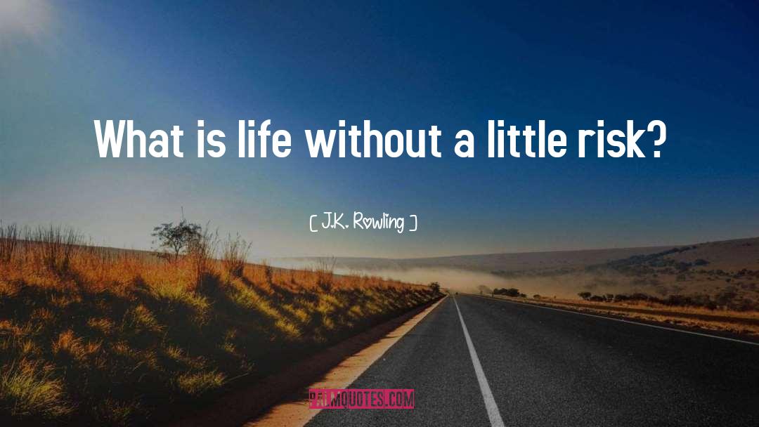 J.K. Rowling Quotes: What is life without a