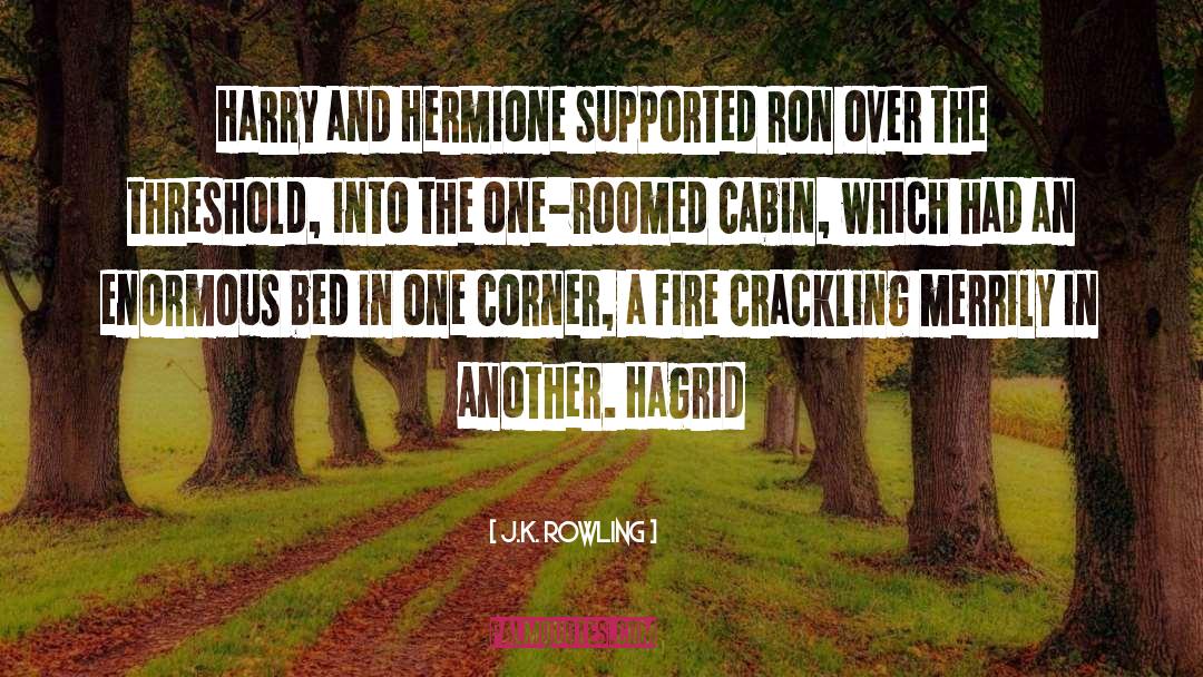 J.K. Rowling Quotes: Harry and Hermione supported Ron