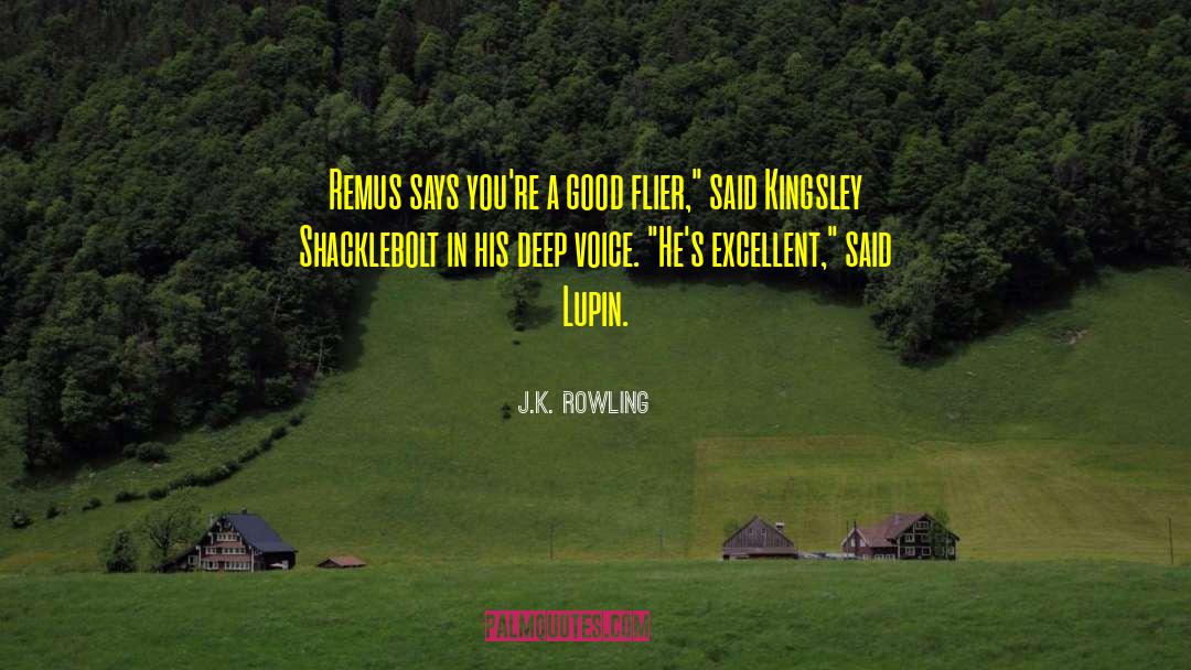 J.K. Rowling Quotes: Remus says you're a good