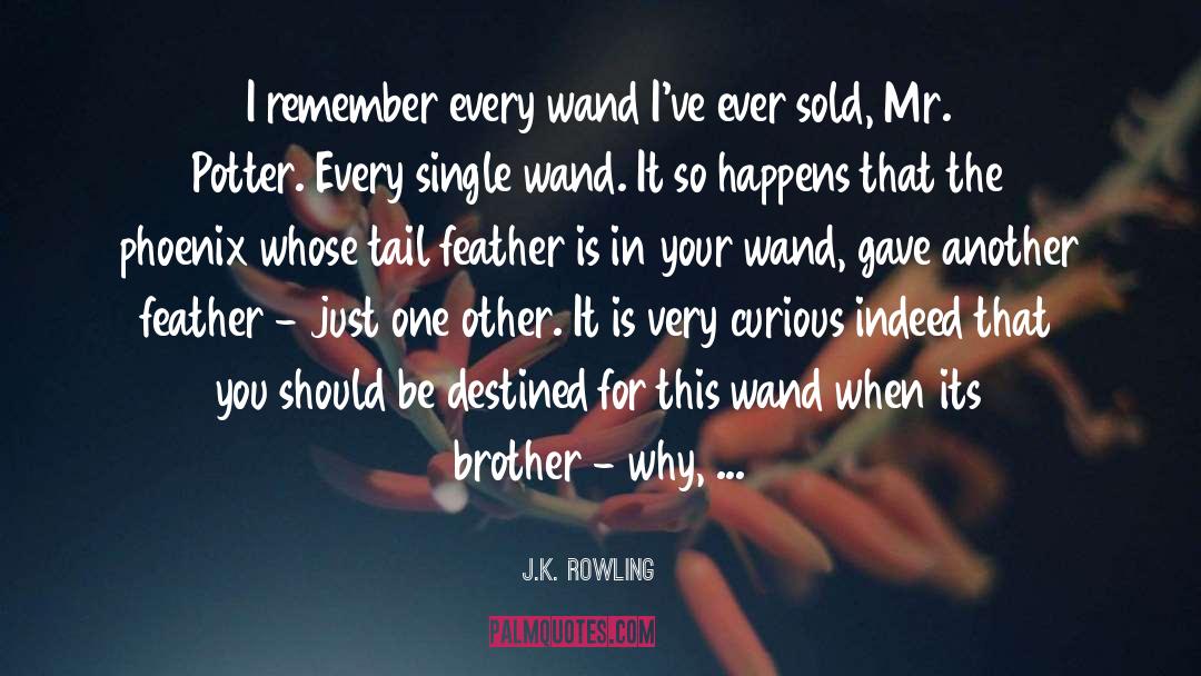 J.K. Rowling Quotes: I remember every wand I've