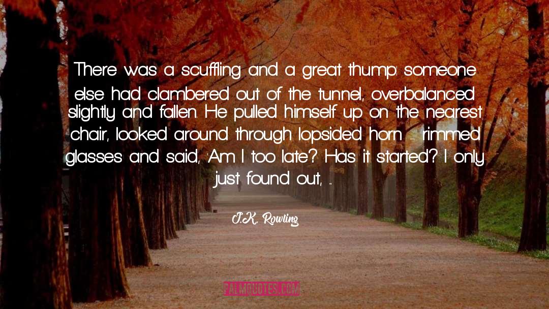 J.K. Rowling Quotes: There was a scuffling and