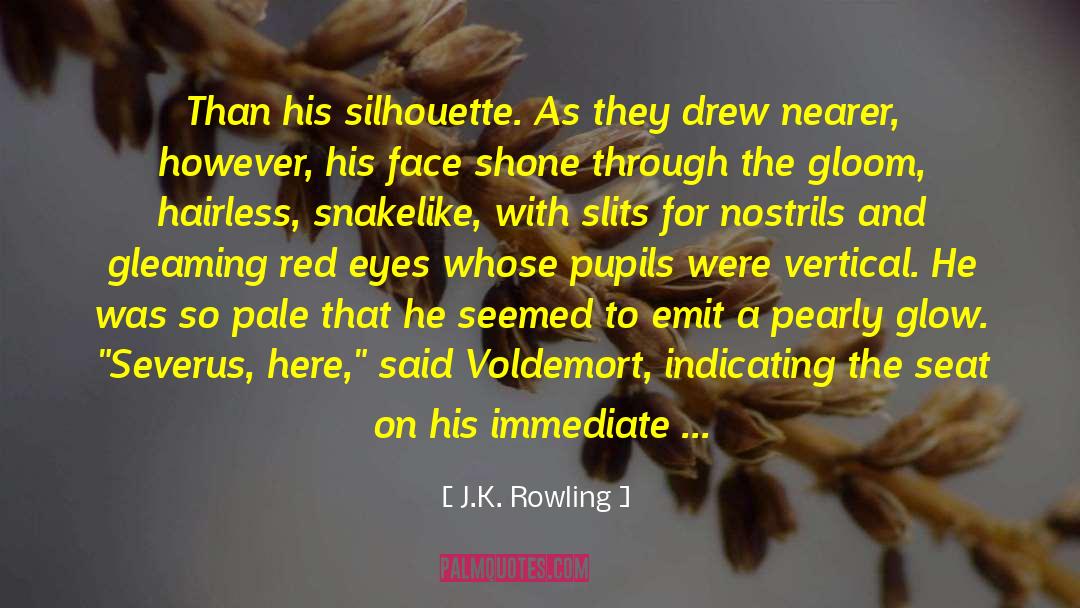 J.K. Rowling Quotes: Than his silhouette. As they