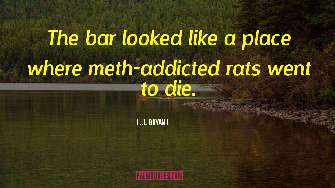 J.L. Bryan Quotes: The bar looked like a