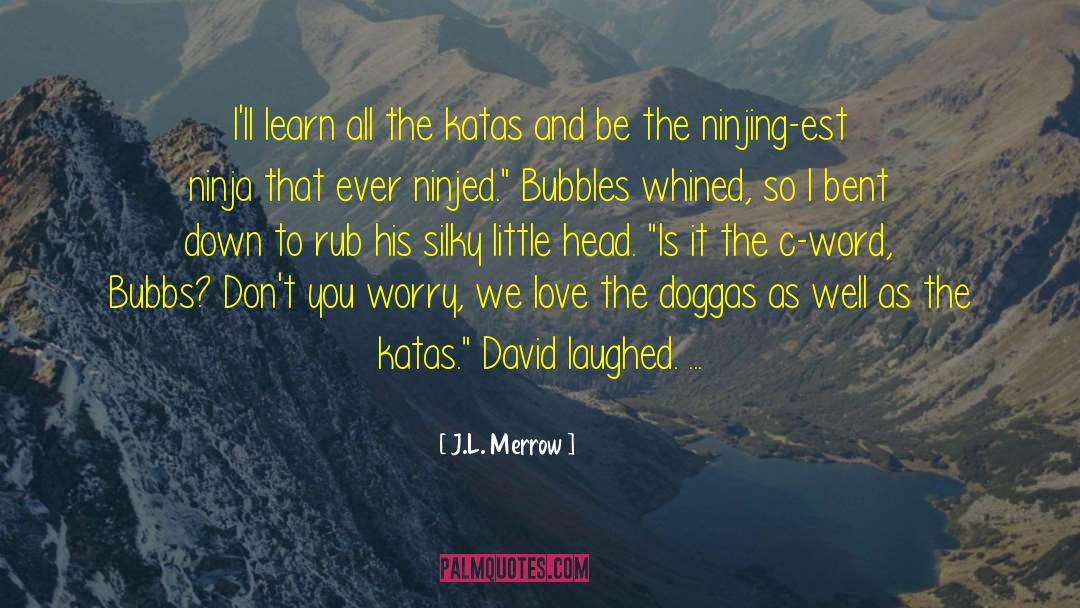 J.L. Merrow Quotes: I'll learn all the katas