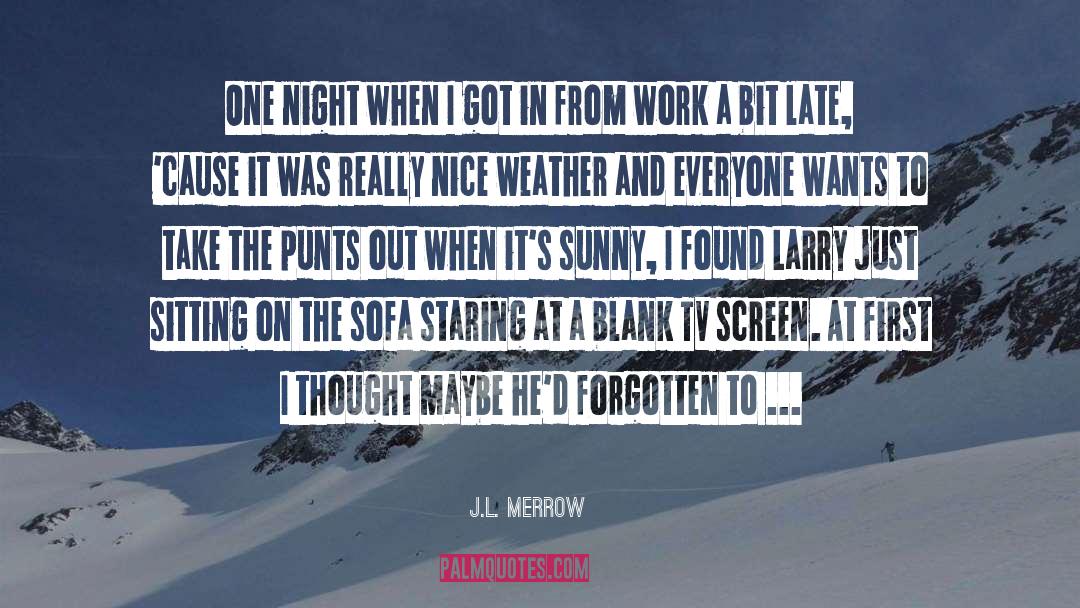 J.L. Merrow Quotes: One night when I got