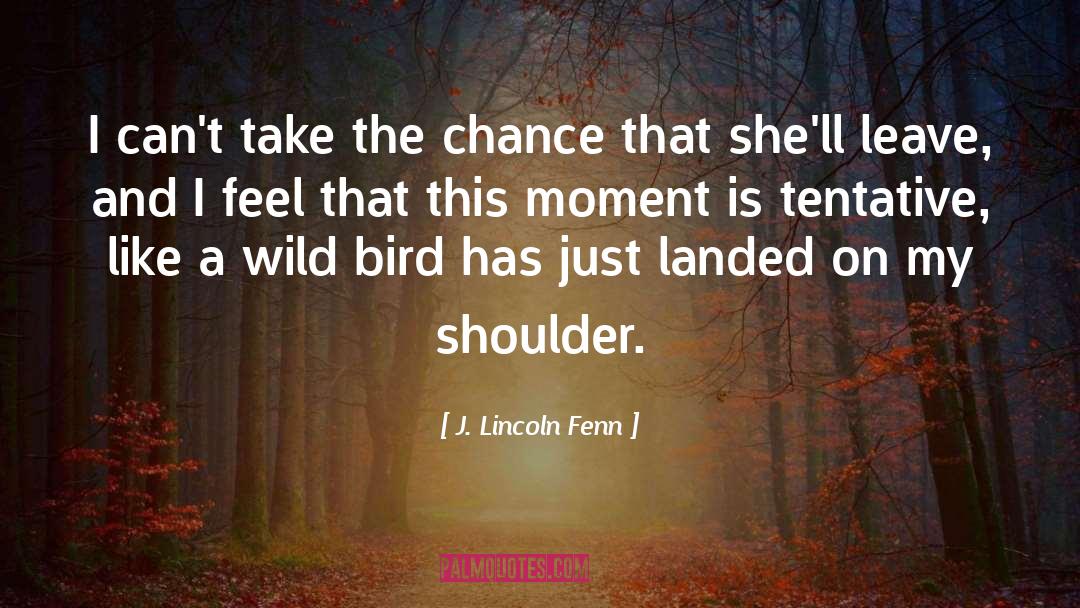J. Lincoln Fenn Quotes: I can't take the chance