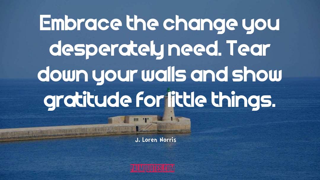 J. Loren Norris Quotes: Embrace the change you desperately