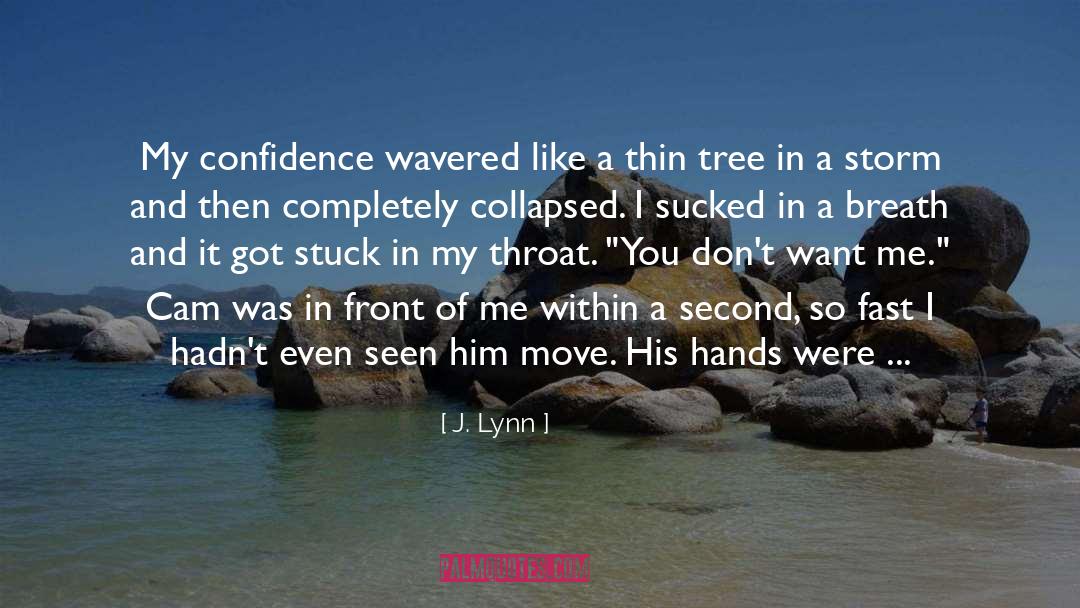 J. Lynn Quotes: My confidence wavered like a