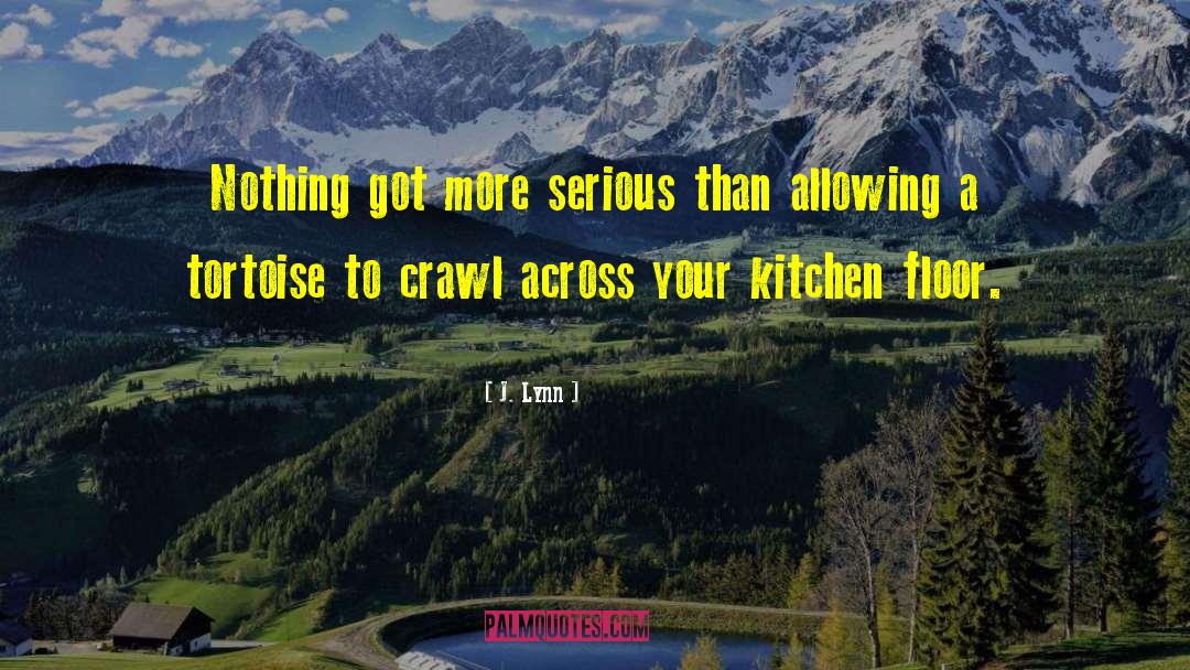 J. Lynn Quotes: Nothing got more serious than