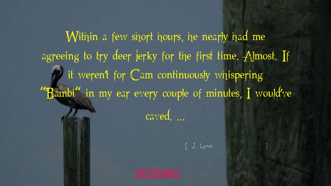 J. Lynn Quotes: Within a few short hours,
