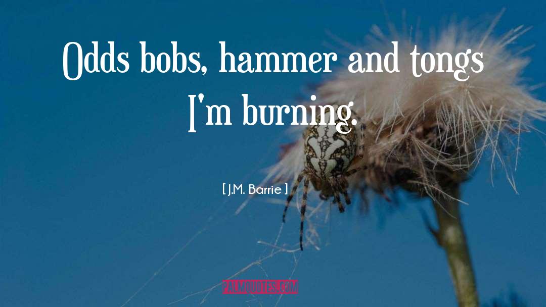 J.M. Barrie Quotes: Odds bobs, hammer and tongs