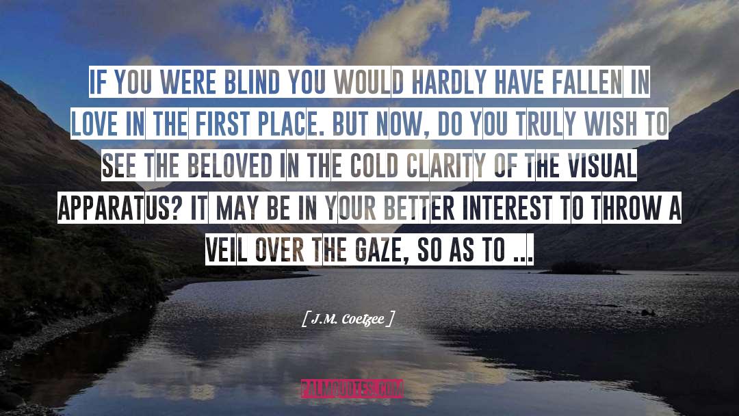 J.M. Coetzee Quotes: If you were blind you