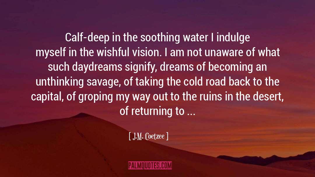 J.M. Coetzee Quotes: Calf-deep in the soothing water